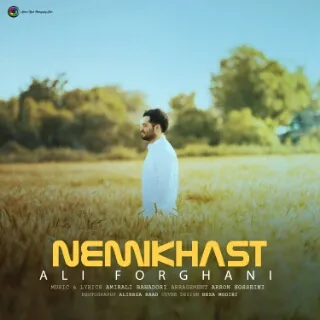 Ali Forghani - Nemikhast