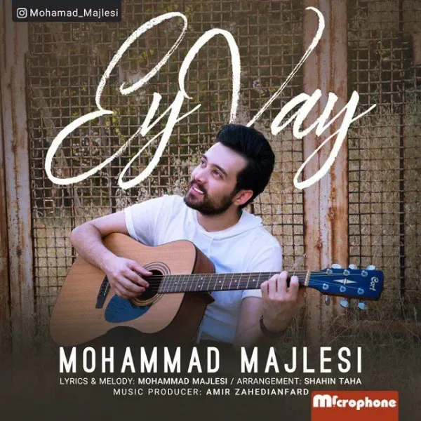 Mohammad Majlesi - Ey Vay