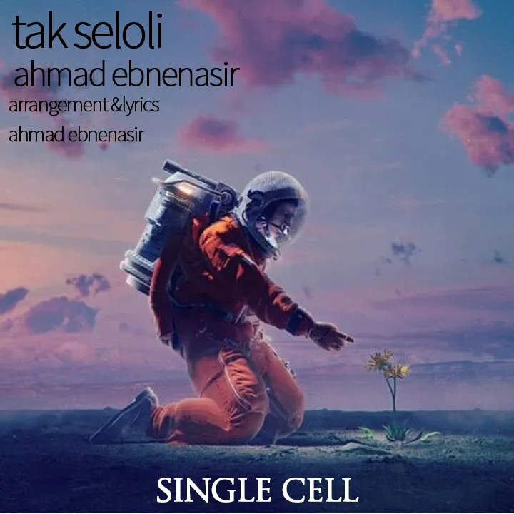 Ahmad Ebnenasir - TakSeloli